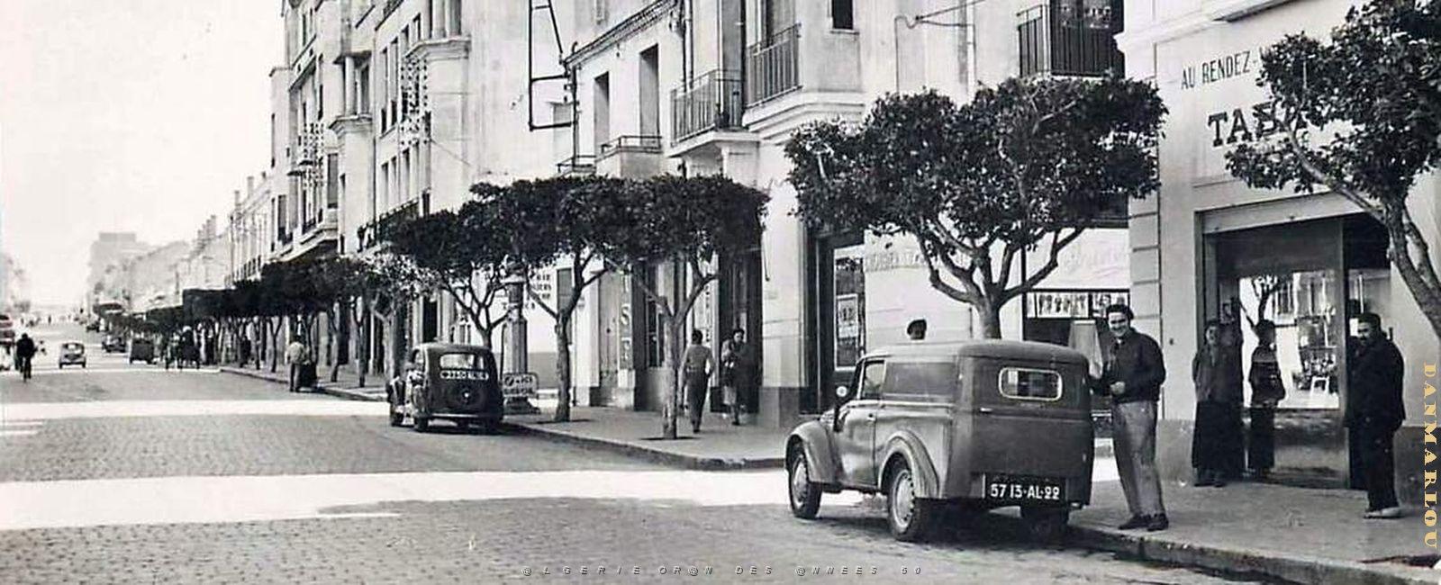 2895- Mostaganem - Avenue Anatole France2.jpg
